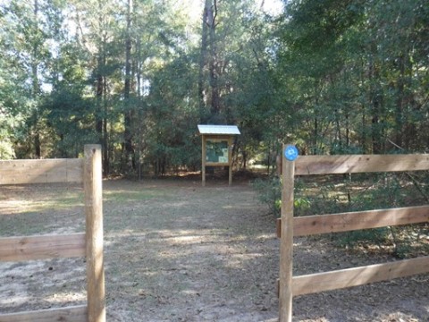 Payne's Prairie, eco-biking, lake pithlachocco trails