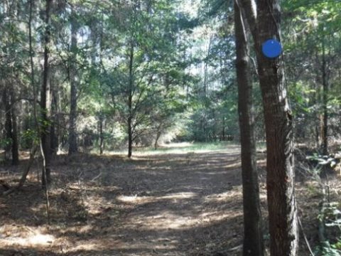 Payne's Prairie, eco-biking, lake pithlachocco trails