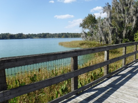 Paynes Prairie State Preserve