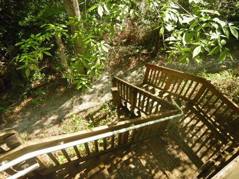 Florida Bike Trails, Ravine Gardens