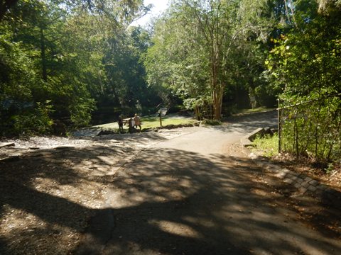 Florida Bike Trails, Ravine Gardens