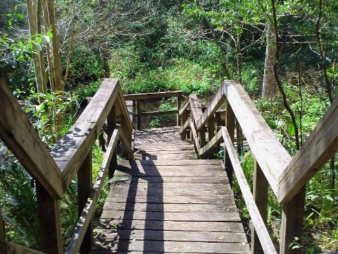 Florida Bike Trails, Ravine Gardens