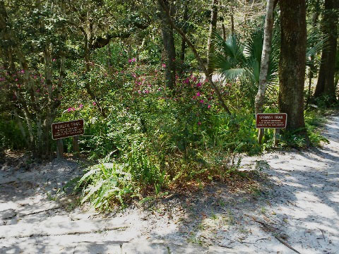 Florida Bike Trails, Ravine Gardens