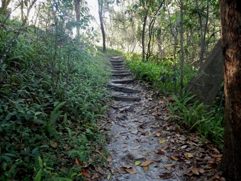 Florida Bike Trails, Ravine Gardens