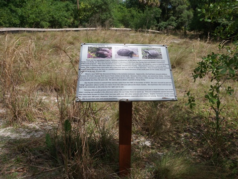 Florida Bike Trails, Ravine Gardens