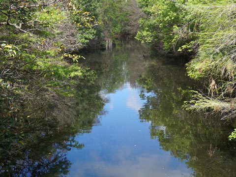 Riverbend Park