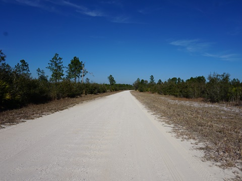 Seminole State Forest, eco-biking