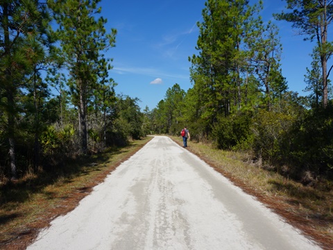 Seminole State Forest, eco-biking