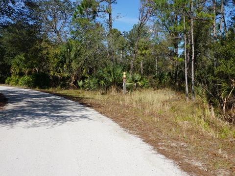 Seminole State Forest, eco-biking