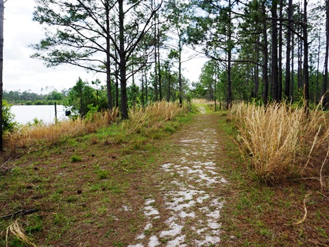 Seminole State Forest, eco-biking