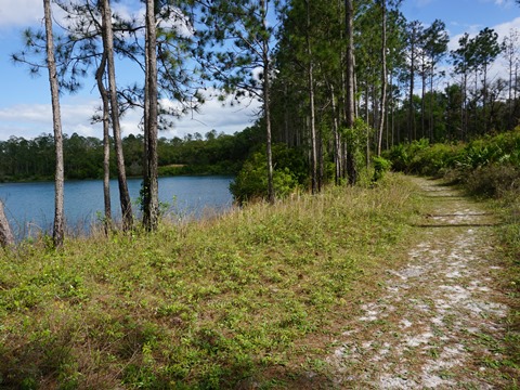 Seminole State Forest, eco-biking