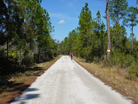 Seminole State Forest, eco-biking