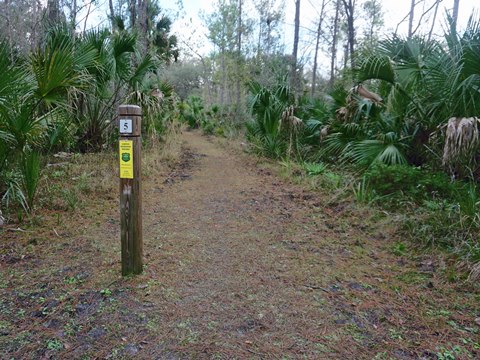 Seminole State Forest, eco-biking