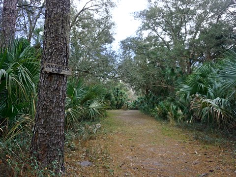 Seminole State Forest, eco-biking