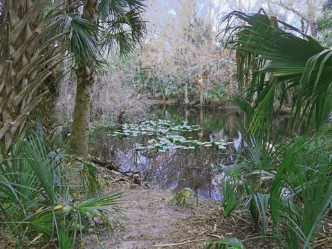 Seminole State Forest, eco-biking