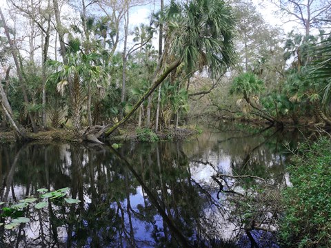 Seminole State Forest, eco-biking