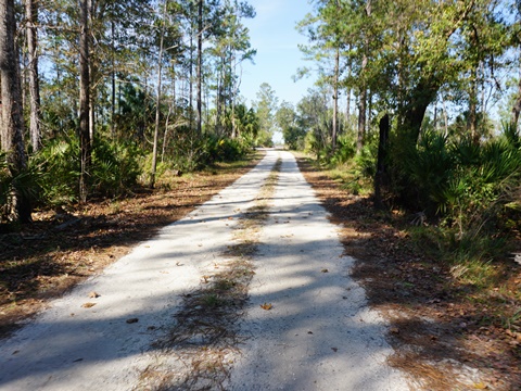 Seminole State Forest, eco-biking