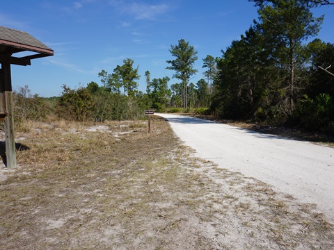 Seminole State Forest, eco-biking