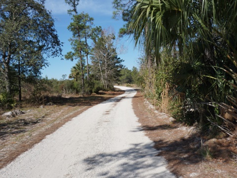 Seminole State Forest, eco-biking