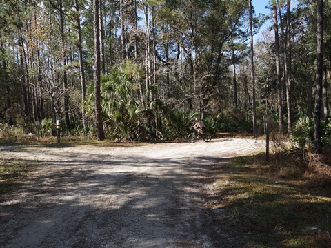 Seminole State Forest, eco-biking