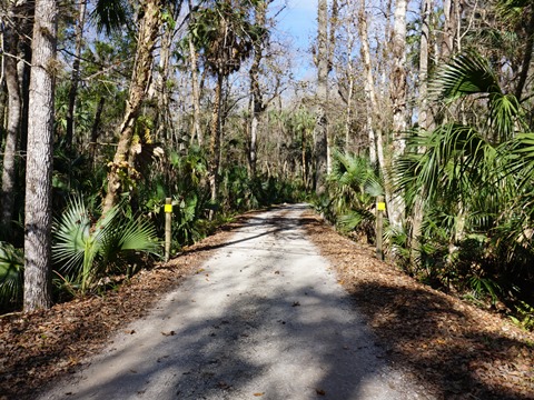 Seminole State Forest, eco-biking