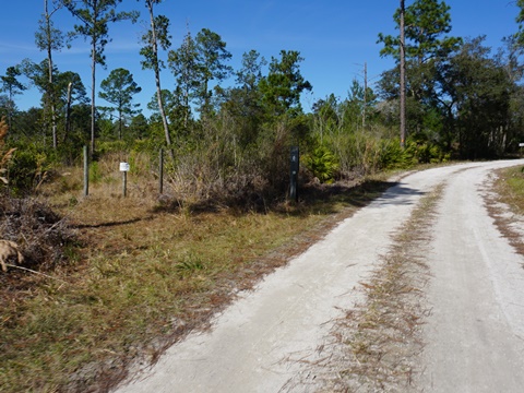 Seminole State Forest, eco-biking