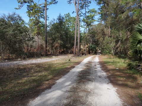 Seminole State Forest, eco-biking