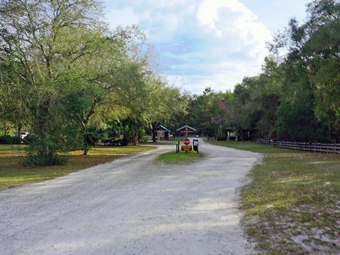 Seminole State Forest, eco-biking