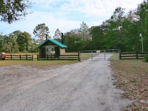 Seminole State Forest, eco-biking