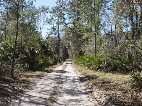 Seminole State Forest, eco-biking