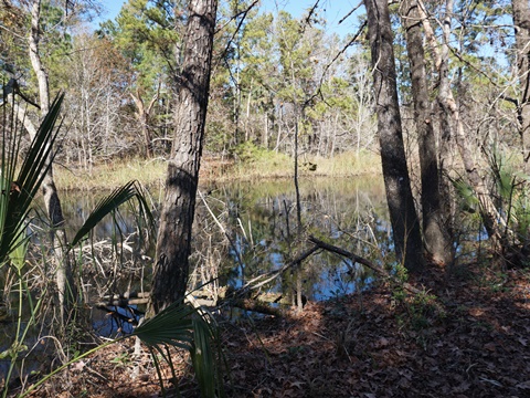 Seminole State Forest, eco-biking