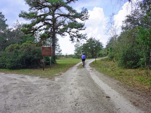 Seminole State Forest, eco-biking