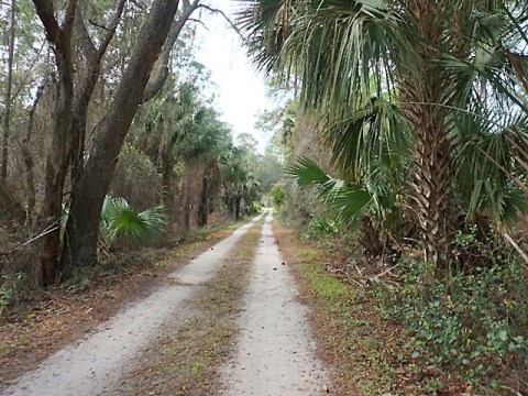 Seminole State Forest, eco-biking