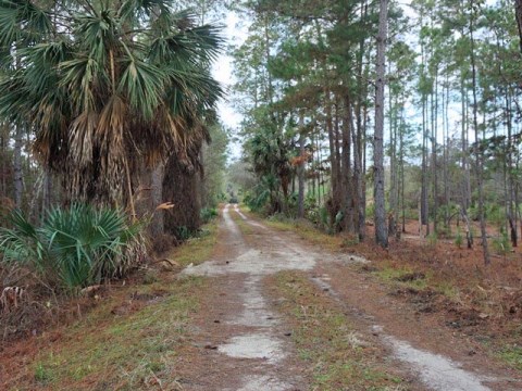 Seminole State Forest, eco-biking