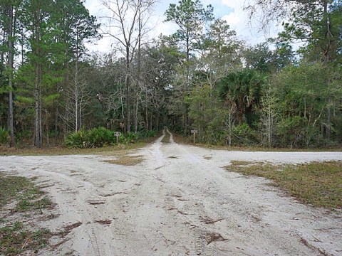 Seminole State Forest, eco-biking