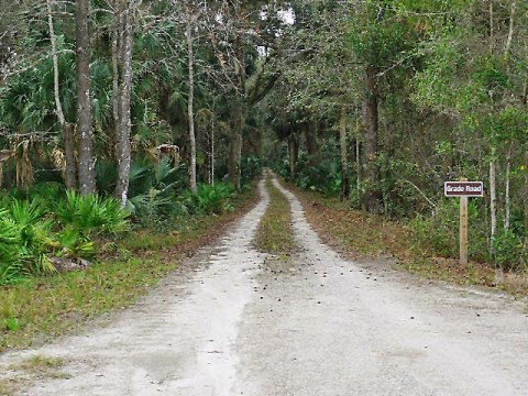 Seminole State Forest, eco-biking