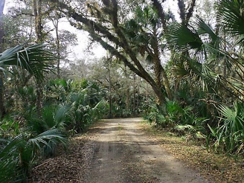 Seminole State Forest, eco-biking