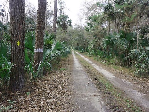 Seminole State Forest, eco-biking