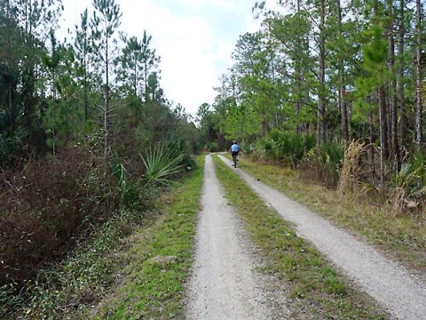 Seminole State Forest, eco-biking