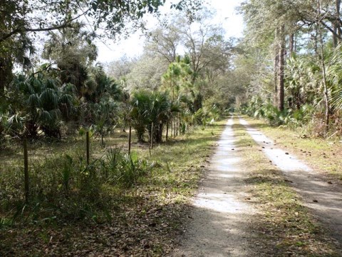 Seminole State Forest, eco-biking