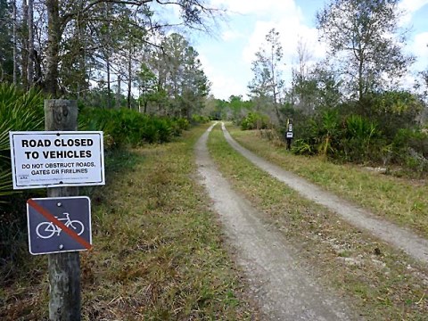 Seminole State Forest, eco-biking