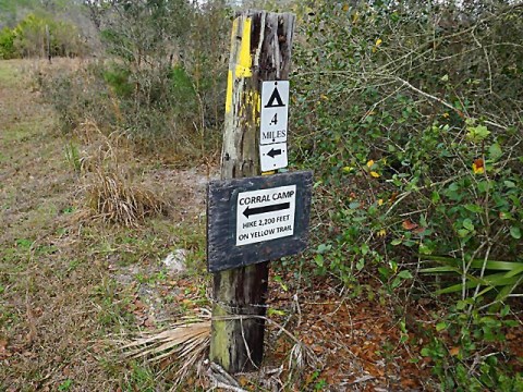 Seminole State Forest, eco-biking