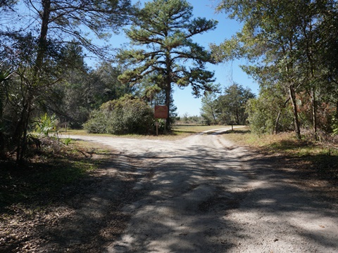 Seminole State Forest, eco-biking