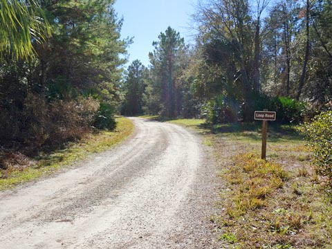 Seminole State Forest, eco-biking