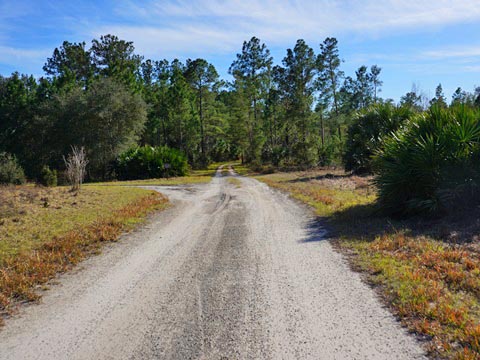 Seminole State Forest, eco-biking