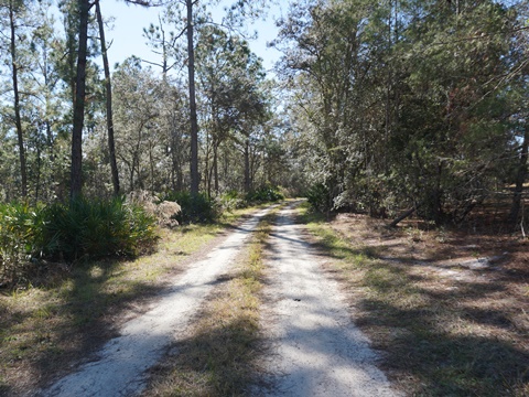 Seminole State Forest, eco-biking