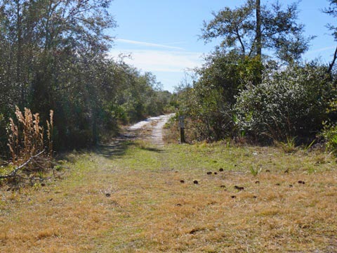 Seminole State Forest, eco-biking