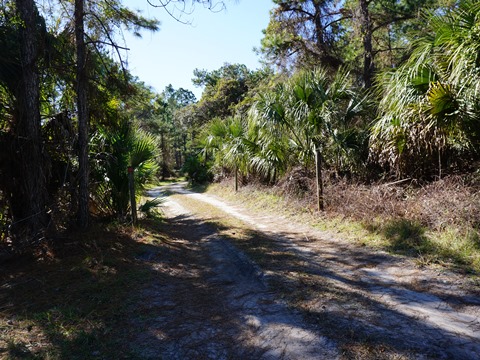 Seminole State Forest, eco-biking