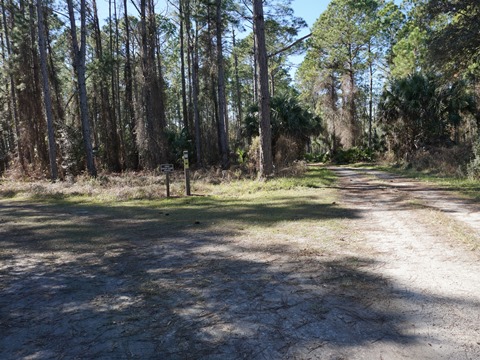 Seminole State Forest, eco-biking