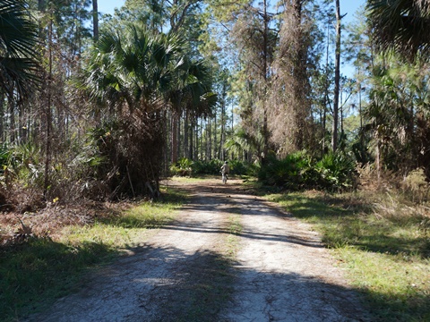 Seminole State Forest, eco-biking